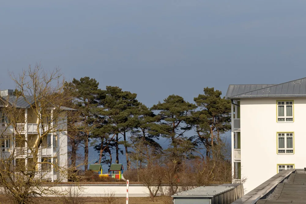 Blick