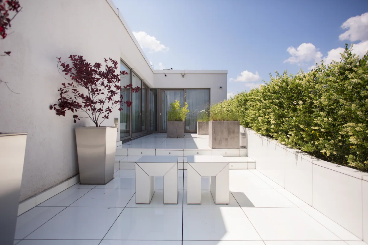 Rooftop