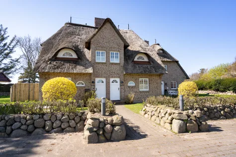 Ferienhaus unter Reet an den Braderuper Wiesen - Bild (16971)