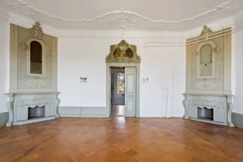 Imposantes Barockschloss Seußlitz zwischen Dresden & Meißen – Investitionsprojekt / Denkmalschutz AfA - herrschafliches Kaminzimmer Schloß Seußlitz (18485)
