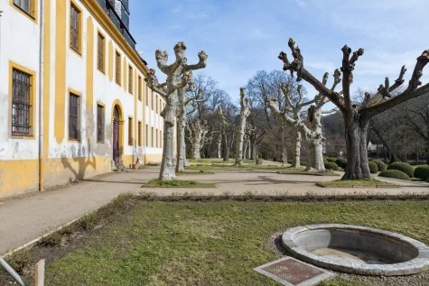 Imposantes Barockschloss Seußlitz zwischen Dresden & Meißen – Investitionsprojekt / Denkmalschutz AfA - Schloßgarten Schloß Seußlitz (18493)