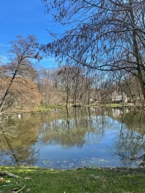 Teich im Schloßgarten Seußlitz
